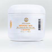 Hylunia - Antioxidant Mask 118ml Hylunia - Antioxidant Mask 118ml